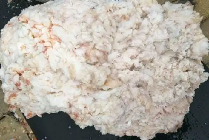 ����֥���Գ�,����֥����