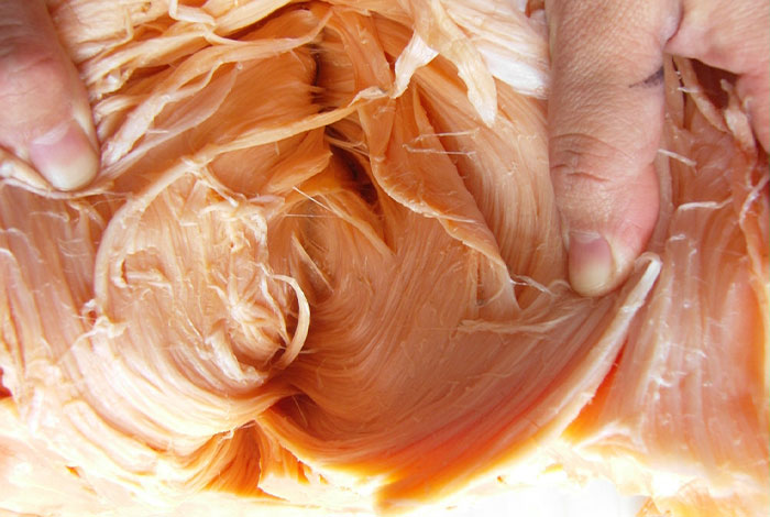 ��������֥,��������֥��