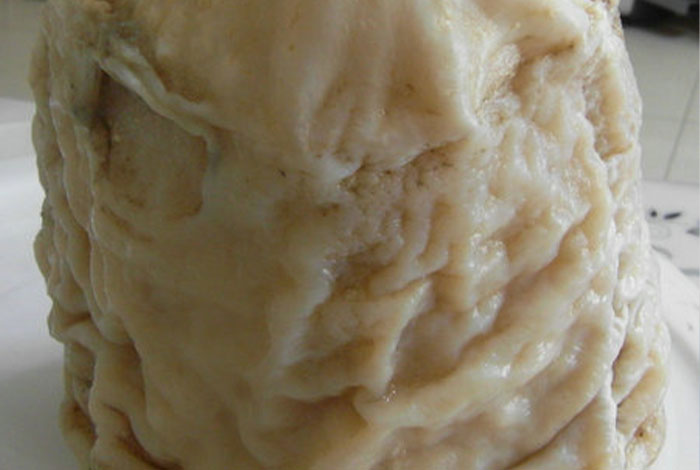 ���˵�Ұ����֥,���˵�Ұ