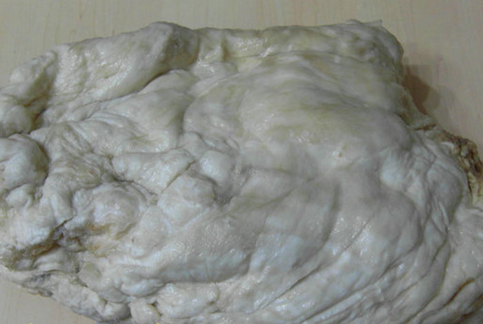 ����֥����������������,