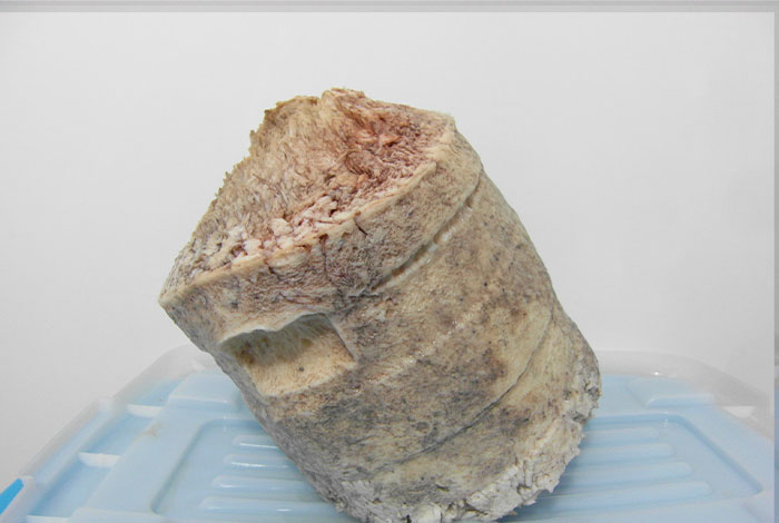 ����֥������������,����