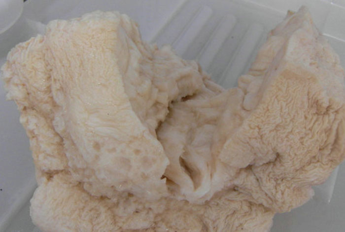 ̫������֥�ݶ೤ʱ������