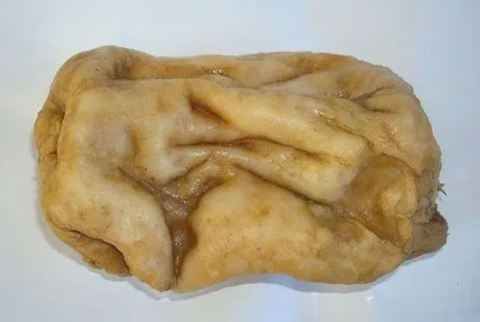 ������֥��ˮζ��,������