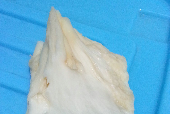 ̫������֥Ϊ����˺�����