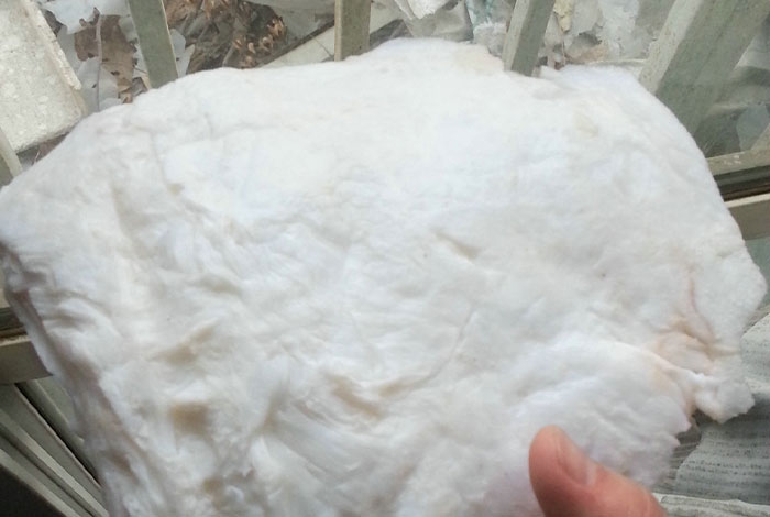 ̫������֥�����ô���أ�