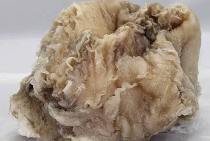 ̫����֥����������ר�ҽ�