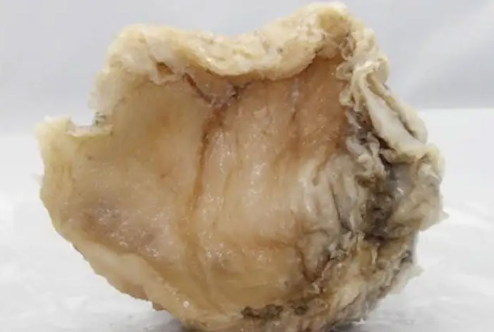 ����������̫�ꣿ�м���