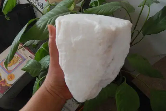 ��ֳ̫�꣨����֥���ľ���