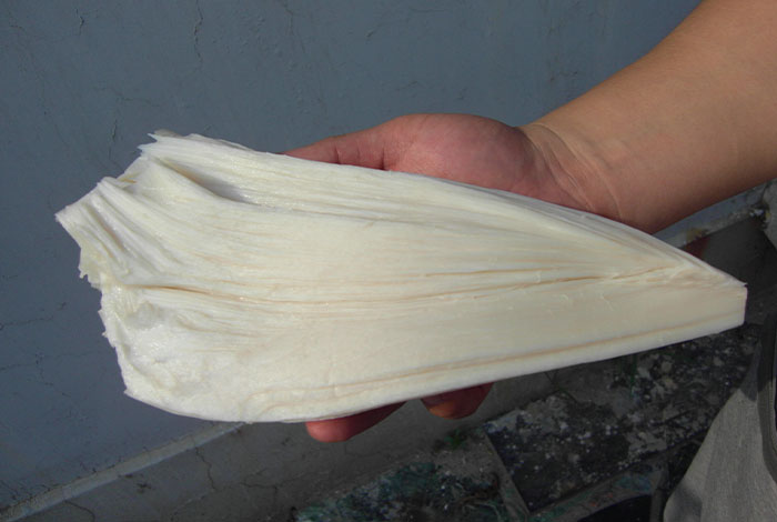 ̫�����Ǯһ�ˣ�ר�ҽ���