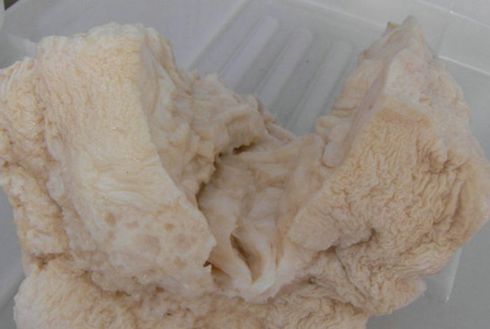 ��ɽ�䱦��Ұ����֥������