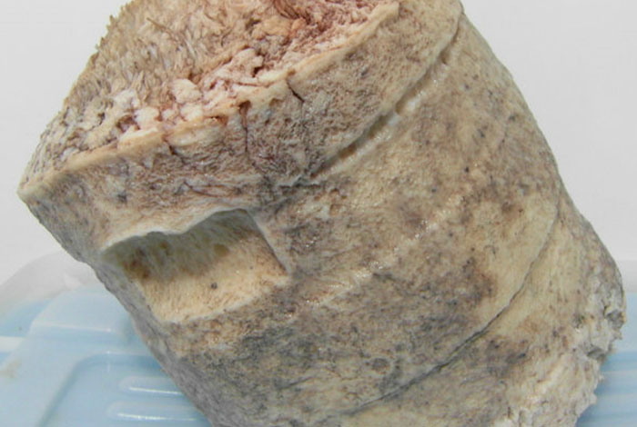 ǧ��̫�����ƽ�ʵ̽��