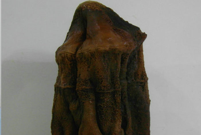 ����֥��ô������Ч���ֳ�