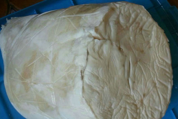 һ������֥���Թ�������һ