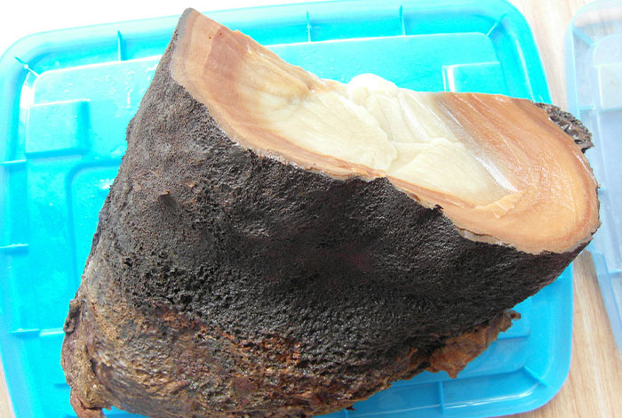 Ů�˱ؿ����ճ�ʳ������֥