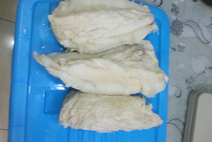 ����֥һ�������ڳ���