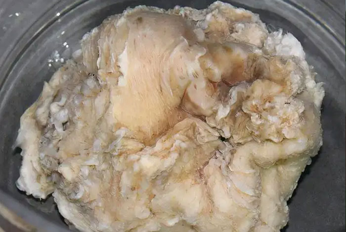 ��������������֥