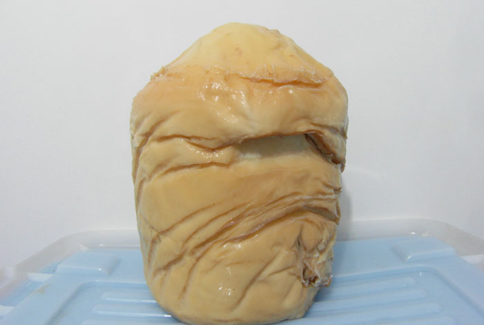 ���ϳ������֥��ʲô