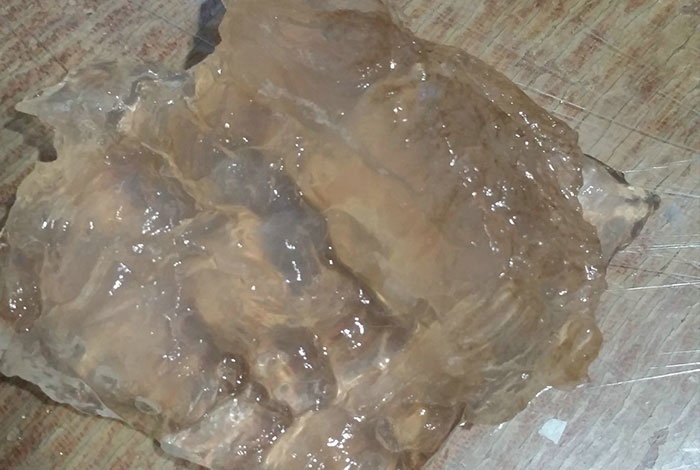 ̫������֥�ܳ�����