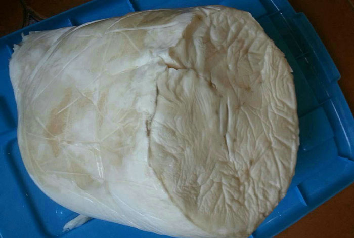 ����֥����������