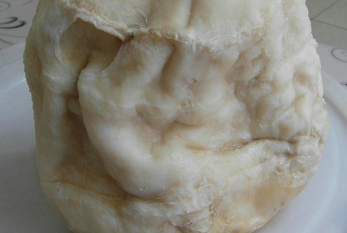 �߽���ѧ������֥��ʲô