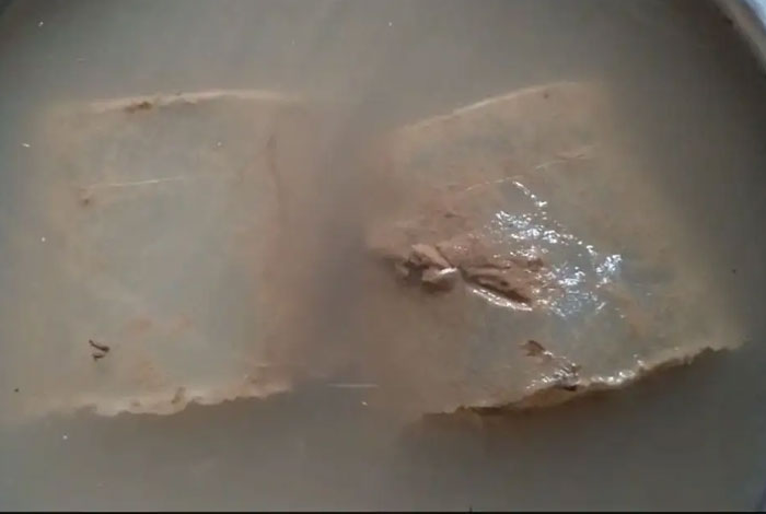 ľ��֥��ʲô��ó�һ��