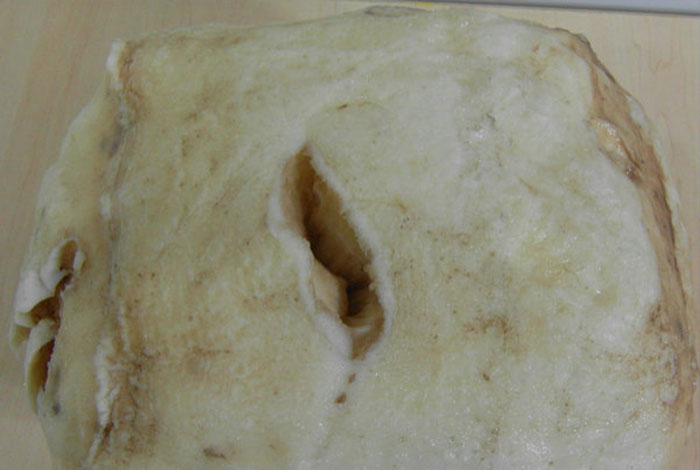 ����֥ˮ��С�����ܳ���