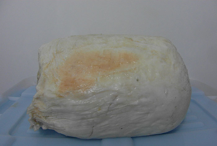 ����֥ɹ���˻�����