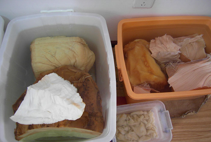 ��֥���ӷۿ��Խ�������