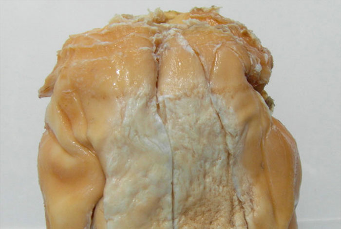 ��Ȼ����֥�ִ�ͼƬ��ȫ