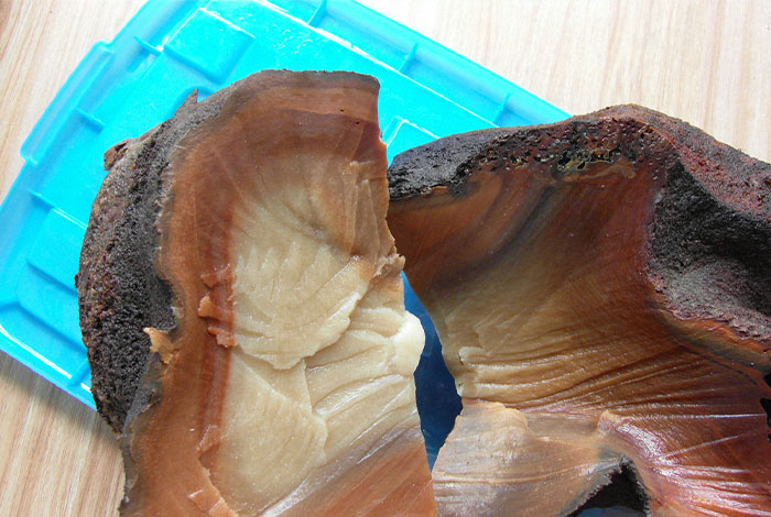 ����֥����������γ�