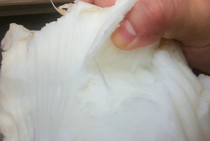 С����������֥�Ժ�����Ƶ