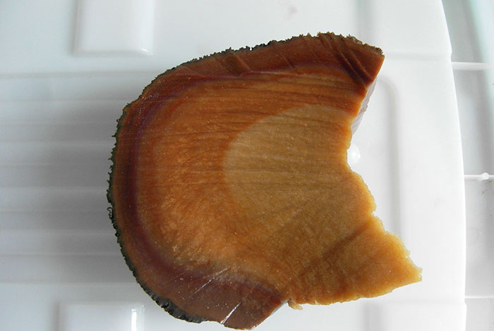 �й��ж��ٸ�����֥