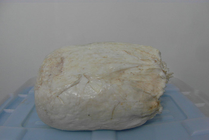 ר�Ҷ�̫������֥������