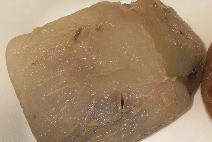 �Ŷ��ɵ�Ұ��̫������֥