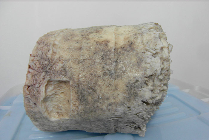 ����̫������֥�չ��绰