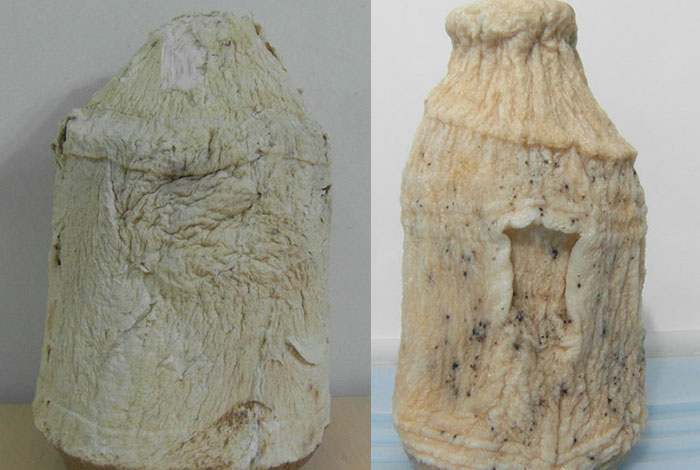 ��������֥���ĸ��ó�