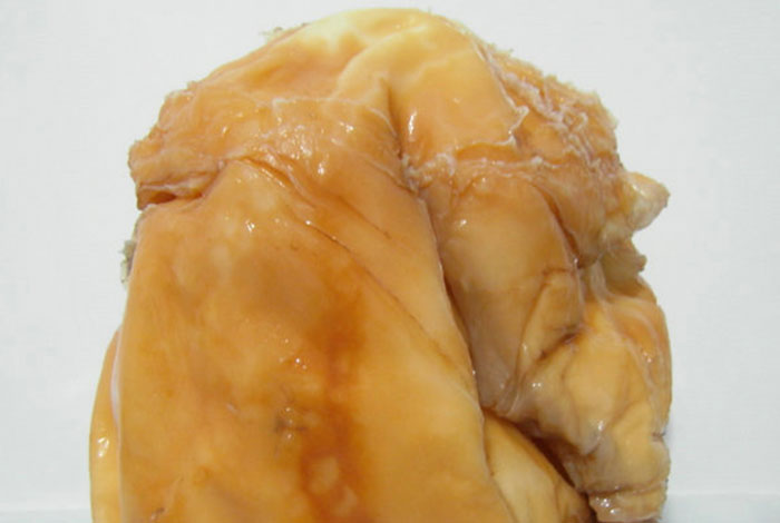 �ϴ�ү��һ������֥