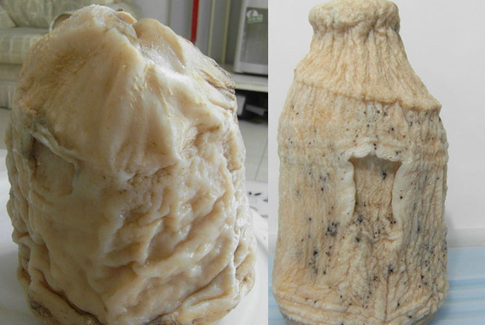 ����֥��ٱ��̳�