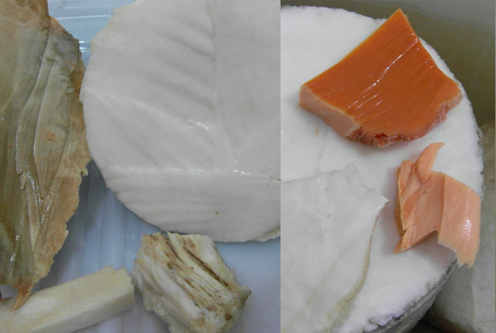 ����֥��ˮ�ﻹ��������