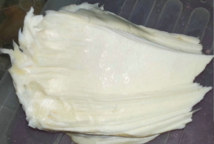 ��̫������֥�����ҩ��