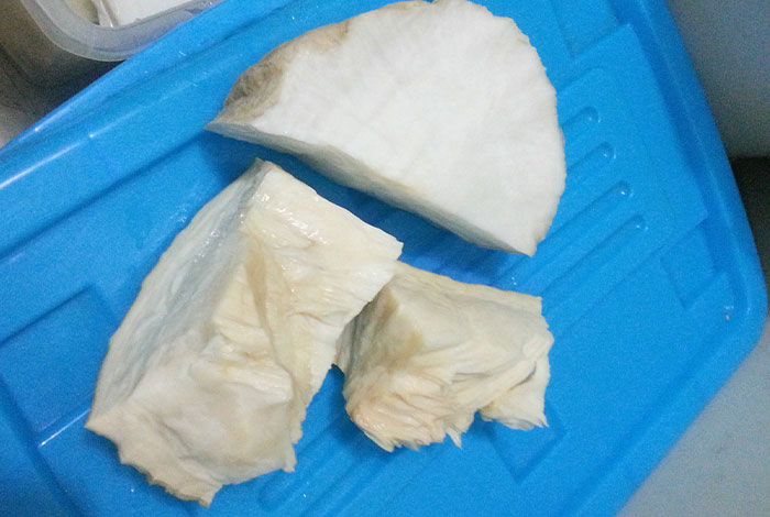 ����֥����������