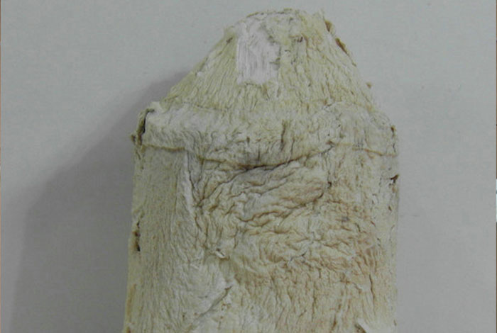 ����֥��˵�������