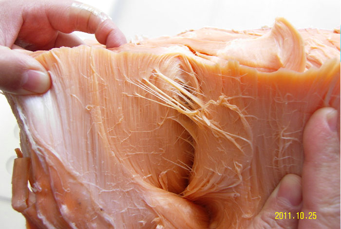 ľ��֥��ôѬ���ӵ���