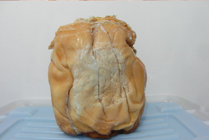 ʮ����ǰ����֥���ܳ���