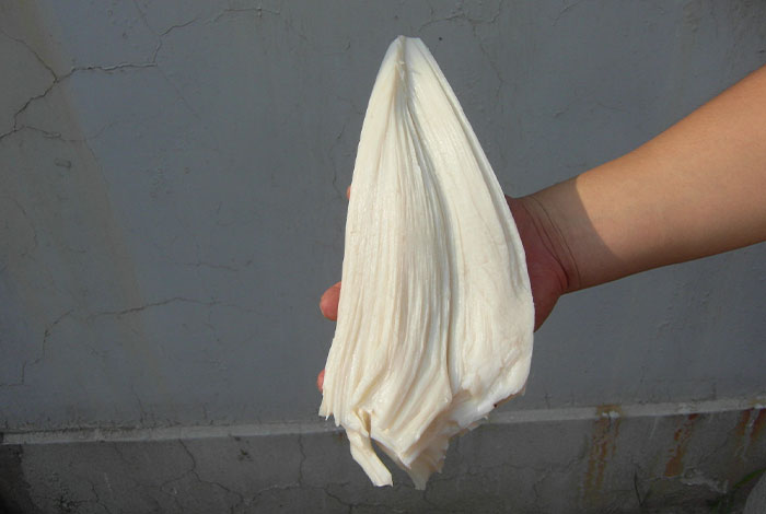 һ��Ʒ̫������֥