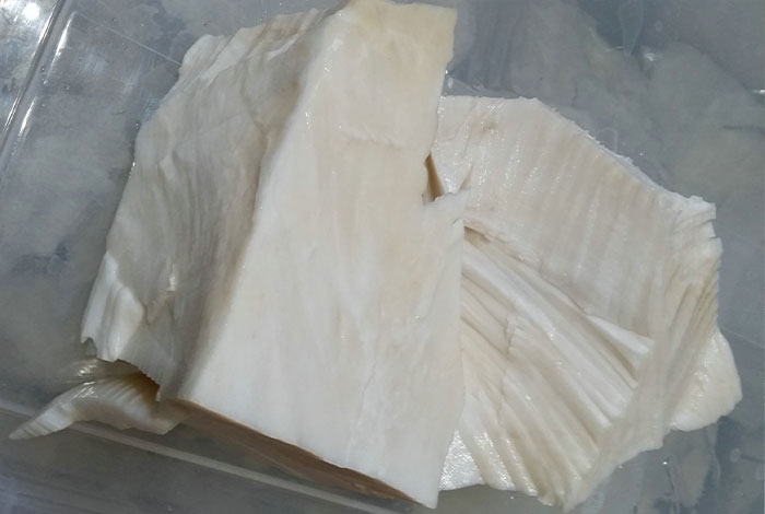 �Ͼ�̫������֥�ղؼ�